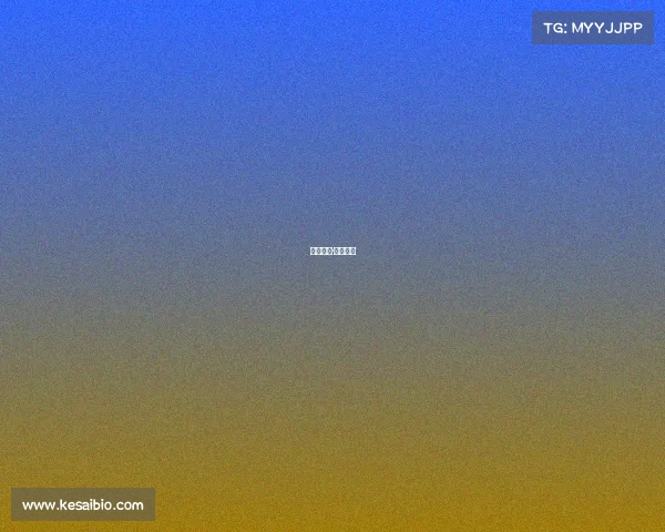 竞放新章·锋芒再燃